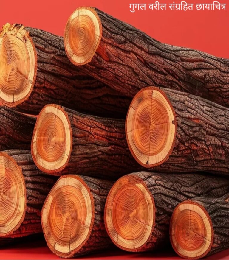 red-sandelwood-1734080793